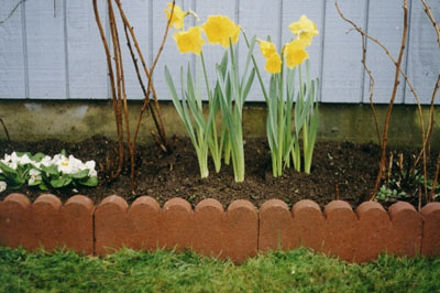 garden-edging-img03
