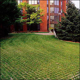 turfstone-img01