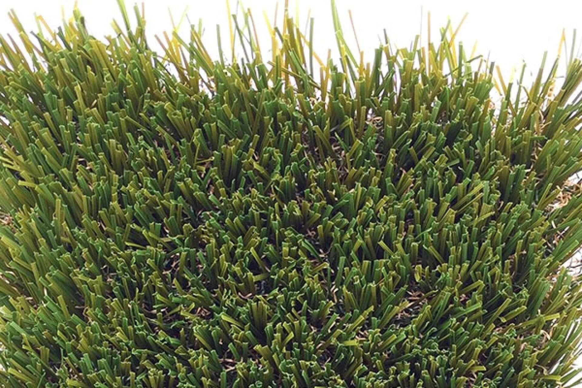 Cascade Elite landscape grass