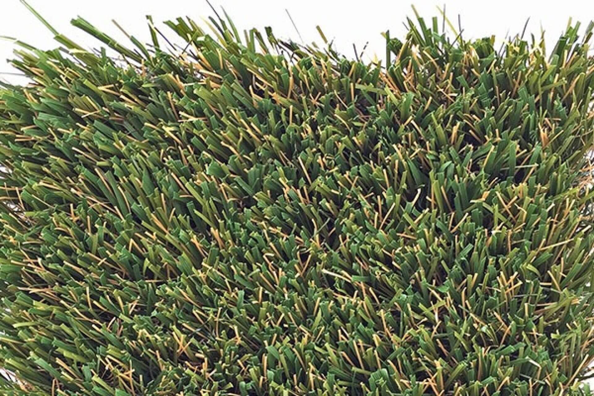 Nature's Best synthetic grass by Bella Turf